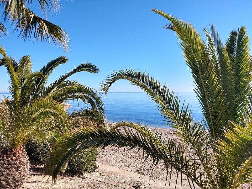 Ola Laguna Beach Vera Playa Exterior foto